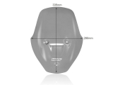 WRS Touring Windschild Ducati Diavel V4