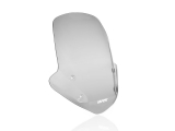 WRS Touring Windschild BMW R 1250 R