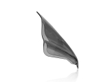 WRS Sport Windschild KTM Duke 790