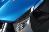 Carbon Ilmberger front crash pads 2-piece BMW C 600 Sport