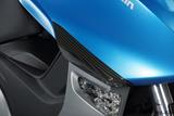 Carbon Ilmberger Sturzpads vorne 2-teilig BMW C 600 Sport