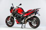 Carbon Ilmberger Zahnriemenantriebsabdeckung BMW F 800 R