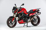 Carbon Ilmberger frmre stnkskrm BMW F 800 R