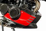 Spoiler moteur en carbone Ilmberger BMW F 800 R