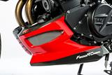 Alern motor Ilmberger carbono BMW F 800 R