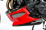 Carbon Ilmberger Motorspoiler BMW F 800 R