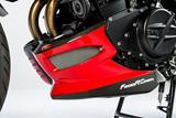 Alern motor Ilmberger carbono BMW F 800 R