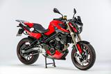 Alern motor Ilmberger carbono BMW F 800 R