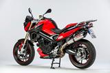 Alern motor Ilmberger carbono BMW F 800 R