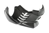 Alern motor Ilmberger carbono BMW F 800 R