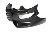 Alern motor Ilmberger carbono BMW F 800 R