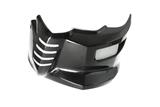 Alern motor Ilmberger carbono BMW F 800 R