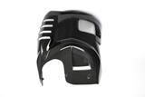 Alern motor Ilmberger carbono BMW F 800 R
