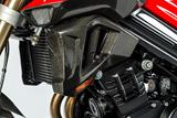 Carbon Ilmberger waterkoeler kuipset BMW F 800 R