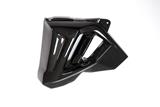 Carbon Ilmberger waterkoeler kuipset BMW F 800 R