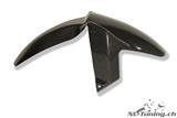 Carbon Ilmberger front fender BMW F 800 GT