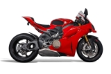 Performance Abdeckplatte mit Kamerahalterung Ducati Streetfighter V4