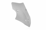 WRS Standard Windschild Ducati Multistrada V4 S
