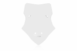 WRS Standard Windschild Ducati Multistrada V4 S