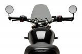 Puig Sportscheibe Triumph Speed 400
