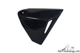 Carbon Ilmberger frame triangle cover set BMW R 1200 GS