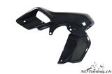Carbon Ilmberger Vindtunnel / vattenkylarskyddssats BMW R 1200 GS