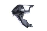 Carbon Ilmberger Luftauslassverkleidung Set BMW R 1200 GS