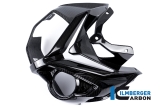 Carbon Ilmberger Verkleidungsoberteil BMW S 1000 R