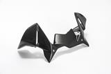 Carbon Ilmberger winddeflector op cockpit BMW R 1200 GS