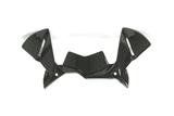 Carbon Ilmberger winddeflector op cockpit BMW R 1200 GS