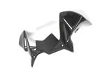 Carbon Ilmberger winddeflector op cockpit BMW R 1200 GS