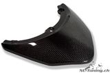 Tapa trasera de carbono Ilmberger BMW R 1200 R