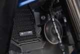 Performance K�hlerschutzgitter BMW R 1300 R
