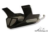 Spoiler moteur en carbone Ilmberger pour les vhicules avec changement principal BMW R 1200 R