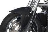 Carbon Ilmberger flaps for front fender set BMW R 1200 R