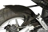 Carbon Ilmberger rear fender with ESA BMW R 1200 R