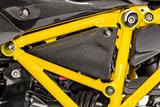 Carbon Ilmberger frame driehoek afdekkap set BMW R 1200 R