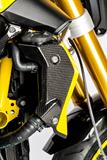 Carbon Ilmberger waterkoelerafdekkingen set BMW R 1200 R