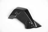 Carbon Ilmberger waterkoelerafdekkingen set BMW R 1200 R