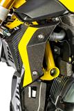 Carbon Ilmberger waterkoelerafdekkingen set BMW R 1200 R