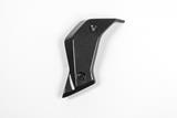 Carbon Ilmberger waterkoelerafdekkingen set BMW R 1200 R