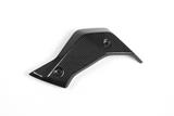 Carbon Ilmberger waterkoelerafdekkingen set BMW R 1200 R