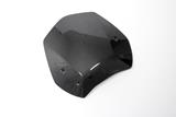 Carbon Ilmberger Windschild BMW R 1200 R