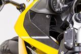 Carbon Ilmberger Abdeckungen neben dem Cockpit Set BMW R 1200 RS