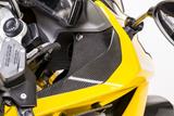 Carbon Ilmberger Abdeckungen neben dem Cockpit Set BMW R 1200 RS