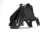 Carbon Ilmberger kuipkap BMW R 1200 RS