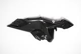 Juego cubredepsito lateral Ilmberger carbono BMW R 1200 RS