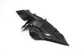 Carbon Ilmberger Seitendeckel unter Tank Set BMW R 1200 RS