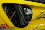 Protectores de carbono Ilmberger en el conjunto del bastidor de la BMW S 1000 R