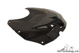 Carbon Ilmberger tank cover top with grille BMW S 1000 RR